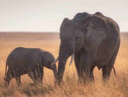 Increasing Prosperity With Positive Thinking