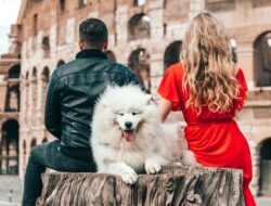 Get the Illusion of Fuller Lashes by “Mascara-stamping.”