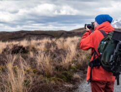 The Lazy Man’s Guide To Travel You to Our Moms