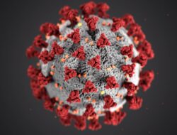 Coronavirus disease (COVID-19) is an infectious disease caused by a new virus.