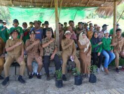 Ardiansyah Distribusi 2000 Bibit Pohon Cabai Untuk Warga Desa Bumi Sejahtera
