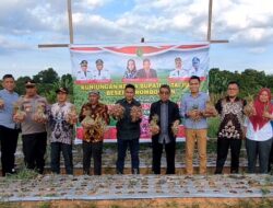 Komoditas Bawang Merah di Ranpul Menjanjikan, Hasil Panen Capai 1,5 Ton