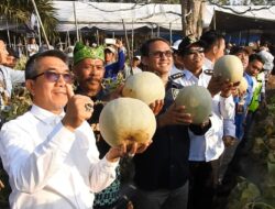 Kerap Hadiri Panen Raya, Ardiansyah Sebut Kutim Ditopang Oleh Pertanian