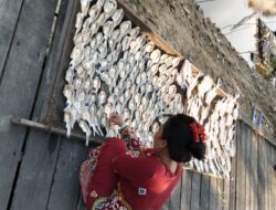 Ardiansyah Ngaku Produk Ikan Asin Air Tawar Kutim Diminati Investor Cina