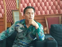 Siang Geah Tanggapi Video Viral Orang Utan Di Area Tambang: Kami Sudah Ambil Langkah