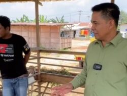 Joni Komitmen Dorong Kemajuan Peternakan Kutim, Bagikan Puluhan Kambing ke Warga