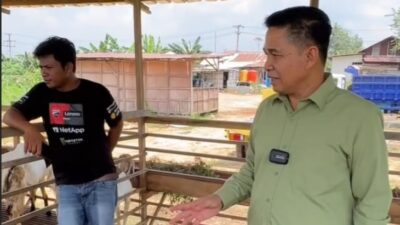 Joni Komitmen Dorong Kemajuan Peternakan Kutim, Bagikan Puluhan Kambing ke Warga