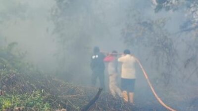 BPBD Wanti-wanti Karhutla di Kutim Dilakukan Oknum Tak Bertanggung Jawab Untuk Buka Lahan