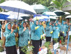 Dari Peringatan HKG PKK ke 52 Ditandai Dengan Tanam Cabai Serentak Se Indonesia