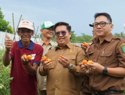 Genjot Sektor Pertanian Kukar Jadi Lumbung Pangan IKN, Edi-Rendi Gelontorkan Rp700 M