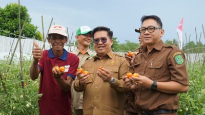 Genjot Sektor Pertanian Kukar Jadi Lumbung Pangan IKN, Edi-Rendi Gelontorkan Rp700 M