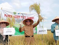 Bupati dan Warga Sangatta Selatan Panen Padi Sawah 4,8 Ton, Pertanian Kutim Dukung Agrowisata 