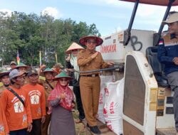 Ardiansyah Hadiri Panen Raya Warga Tanah Abang, Capai 5,8 Ton