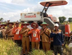 DTPHP Kutim Sebut Long Mesangat Sebagai Sentral Padi Sawah