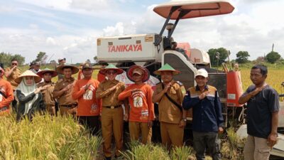 DTPHP Kutim Sebut Long Mesangat Sebagai Sentral Padi Sawah