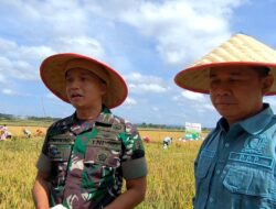 Transformasi Potensi Pertanian Sangatta Selatan, Dandim 0909/KTM dan Ketua DPRD Kutim Dukung Langkah Pembangunan