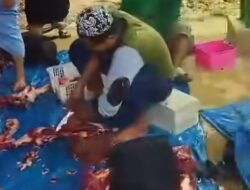Takmir Masjid Subulussalam Sembelih 6 Ekor Sapi Untuk Warga Setempat