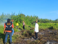 Ancaman Karhutla Kembali Mengintai Kutai Timur, Warga Diminta Cegah Potensi Kebakaran Sejak Dini