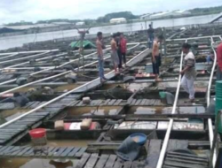 Mayoritas Warga Desa Perjiwa Tekuni Budidaya Ikan Untuk Topan Ekonomi Keluarga