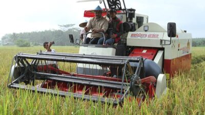 Bupati Instruksikan Kadistanak Kukar Kembangkan Padi Metik Susu Wangi