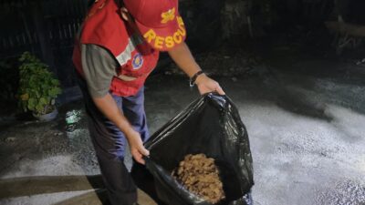 Warga di Sangatta Utara Risau Sarang Tawon Dekat Rumah, Damkar Turun Tangan